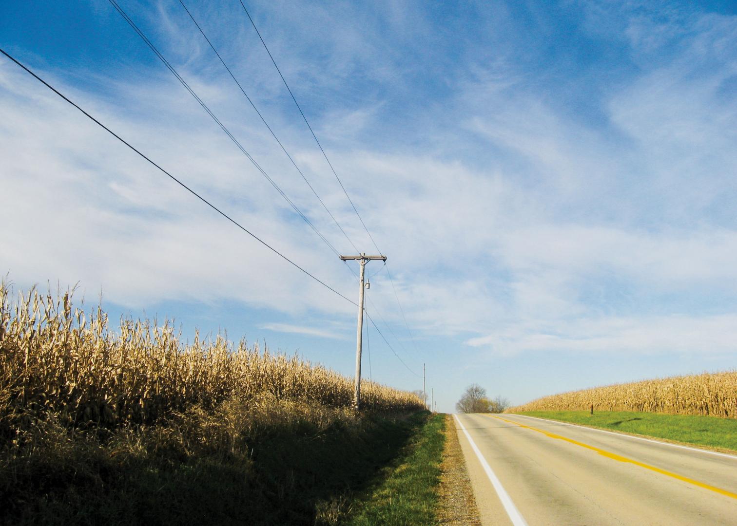 Cooperatives lines with a corn field