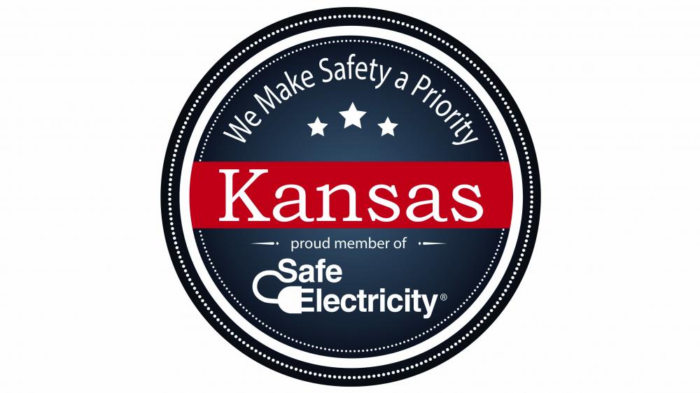 Safe Electricity