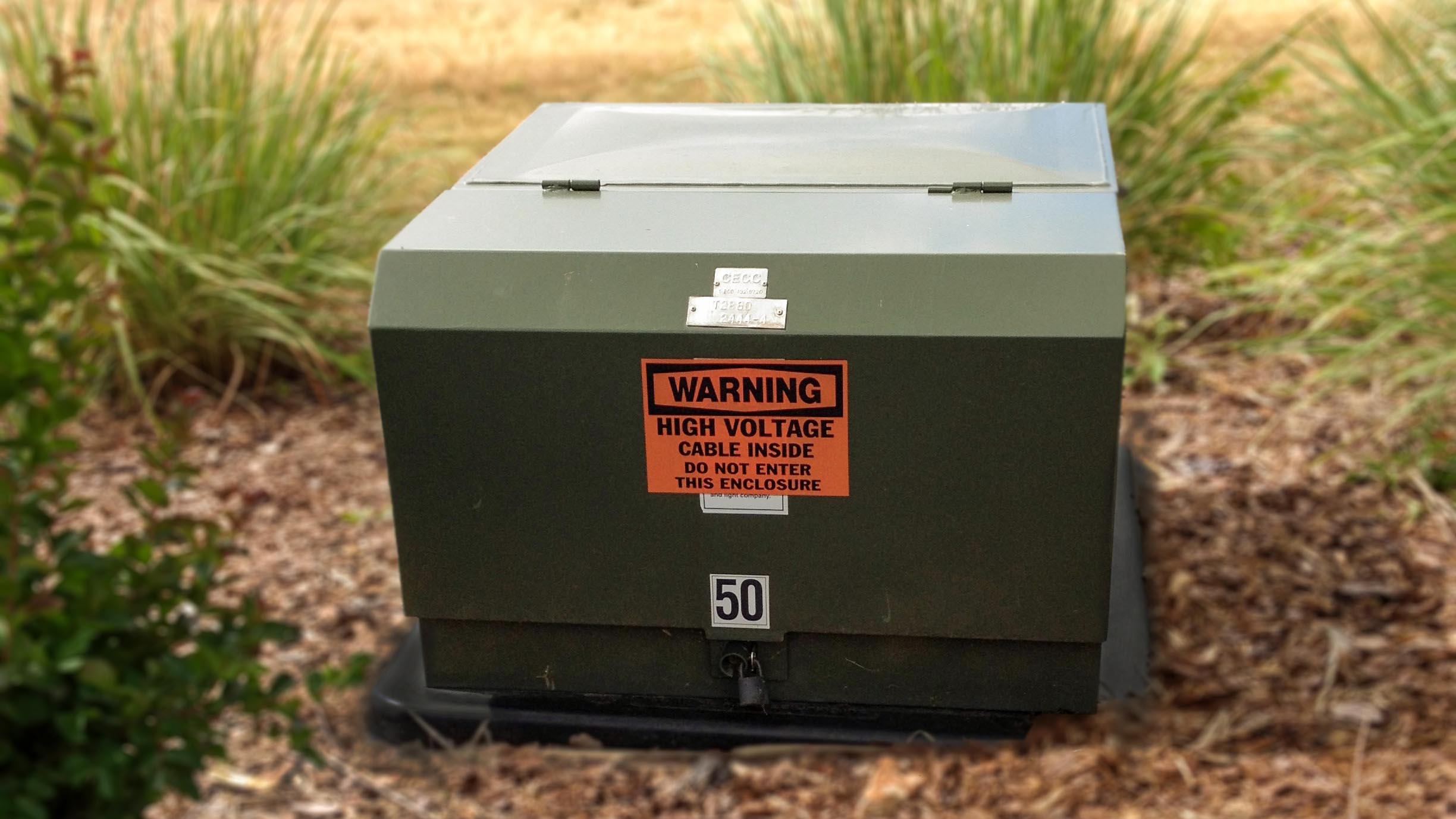 Do not plant shrubs or trees near electrical equipment