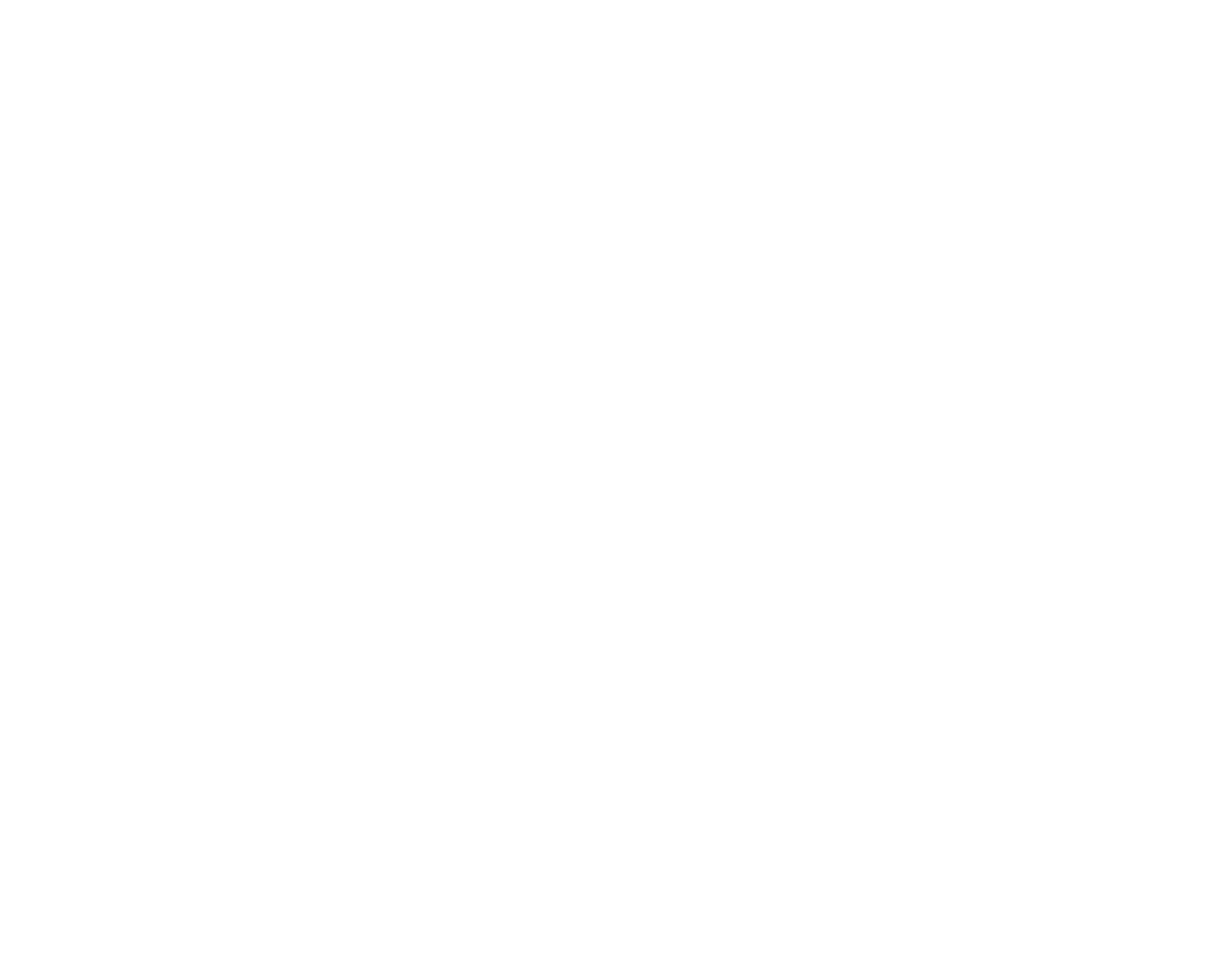 bluestem-logo-color_white