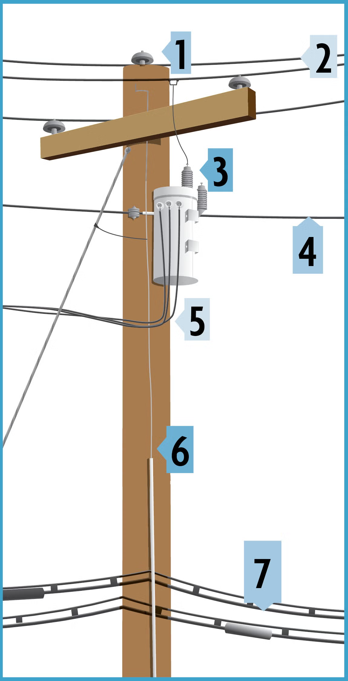 pole diagram